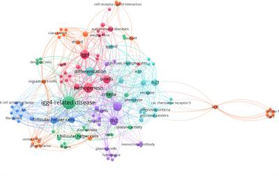 Pathogenic roles of follicular helper T cells in IgG4-related disease and implications for potential therapy